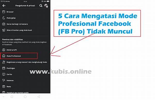 Tidak Ada Fitur Fb Pro