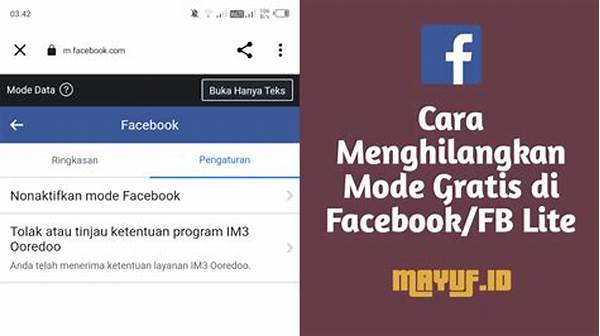Cara Menonaktifkan Fb Pro Di Fb Lite
