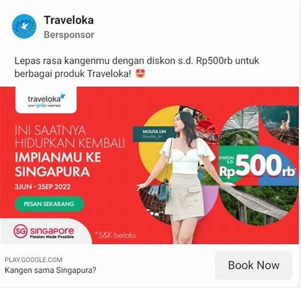 Contoh Iklan Di Fb Pro