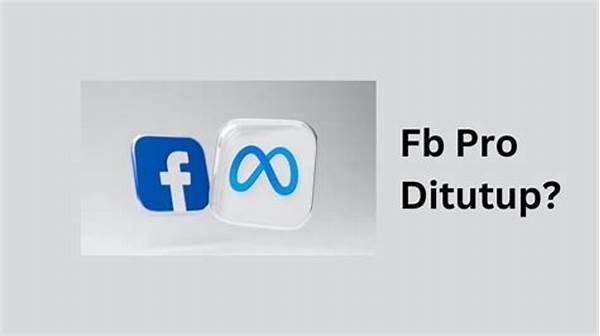 Penjelasan Tentang Fb Pro