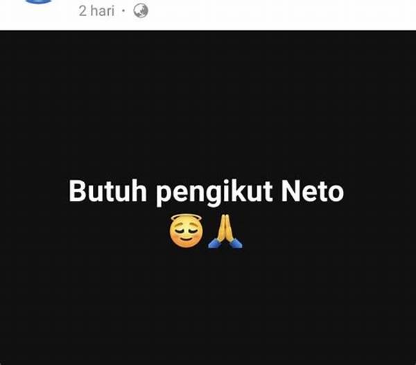 Maksud Dari Pengikut Netto Di Fb Pro