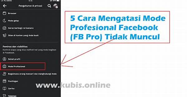 Mode Fb Pro Tidak Muncul